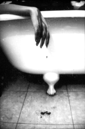43.jpg